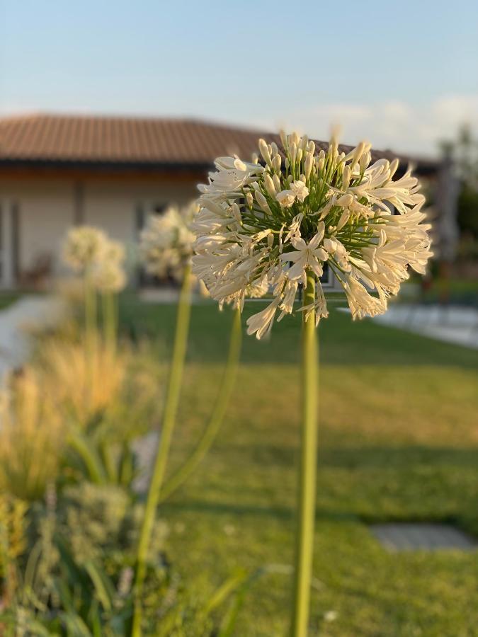 Agriturismo Pepe Rosa Rivoli Veronese Extérieur photo